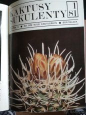 kaktusy a sukulenty - 2