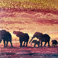 obraz - sloni v západu slunce - 2