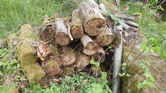 Dřevo mix - 2