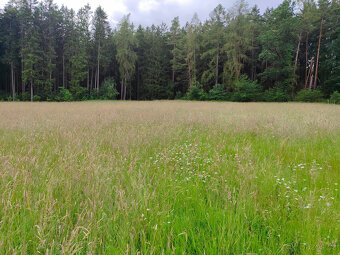 Prodej pozemku - trvalý travní porost, 6984 m2, Mirošov - 2