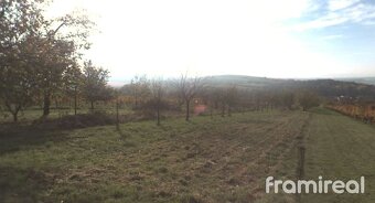 Prodej sady a vinice, 2450 m2 - Blatnice pod Svatým Antonínk - 2