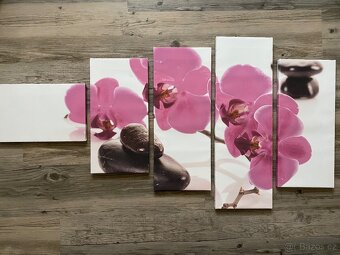 Různé obrazy (Rozměry a ceny v popisku) - 2