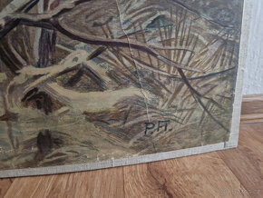 Velký starý školní výukový plakát obrázek ptáci sýkorky - 2