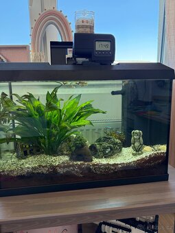 Akvárium-70l-vybavené-ještě v záruce - 2