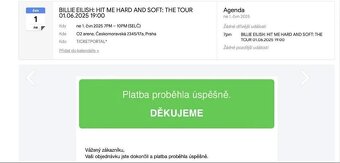 2 Vstupenky na koncert Billie Eilish 1.6. 2025 v Praze. - 2