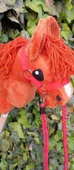 Hobby horse - 2