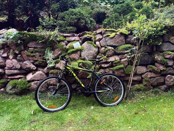 Prodám kolo Alpina Eco M20 2016 - 2