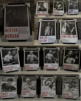 Obraz - Ginter - Vánoční AKCE🎄 - 2