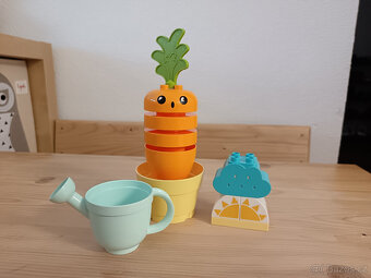 LEGO DUPLO – více druhů - 2