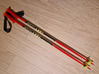 Dětské hole 95 a 100 cm - 2