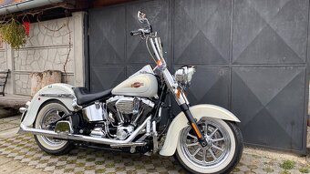 Harley Davidson Softail 110” - 2