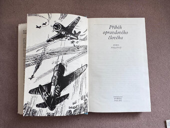 Příběh opravdového člověka (Boris Polevoj) - 2