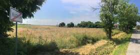 Pronájem rovinaté louky1500 m2, Radkov, Tábor - 2