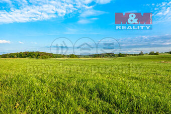 Prodej louky, 5225 m², Příbram - 2