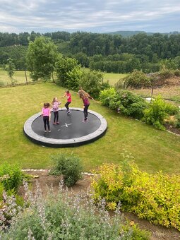 Poptavame bostonskeho teriera/buldocka do rodiny - 2