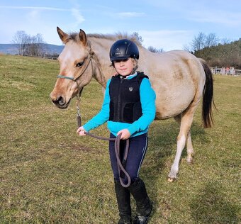 Klisna APH / APPA (rezervace do 23.11.) - 2