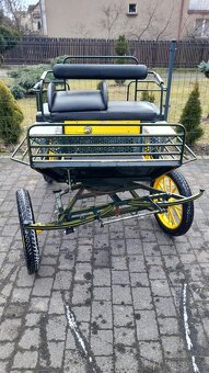 Kočár pro pony a menčí koně - 2