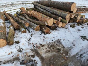 dřevo na topení - 2