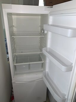 Lednice WHIRLPOOL CFS101W - 2