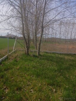 Prodej pozemku Bavoryně - 2
