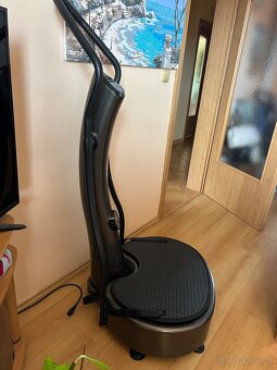 Vibrogym Charles - 2