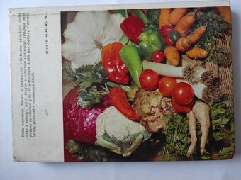 Ovoce a zelenina ve výživě člověka - David Kopelevič Šapiro - 2
