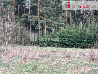 Prodej podílu 2/3 lesního pozemku, 69300 m2, Sepekov - 2