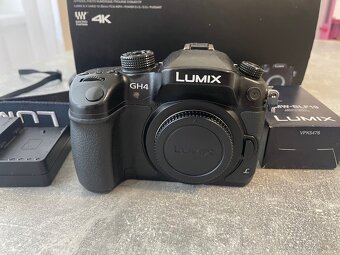 Panasonic LUMIX GH4 - 2