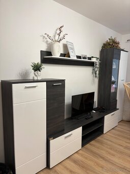 Obývací stěna - 2