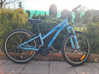 Horské kolo Specialized dětské 24" - 2