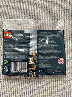 LEGO Harry Potter 30392 Studovna Hermiony - 2
