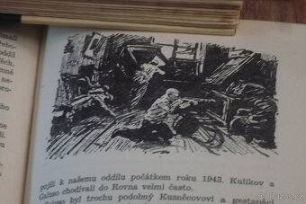 Partyzáni v Evropě a náš nešťastný rok 1938 - 2