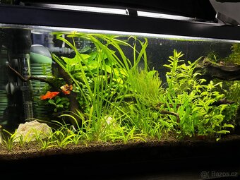 Akvárium 54l - 2