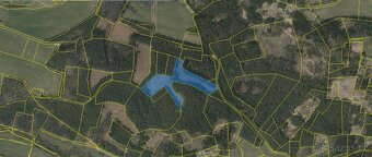 Prodej lesa 2,2084ha - 2