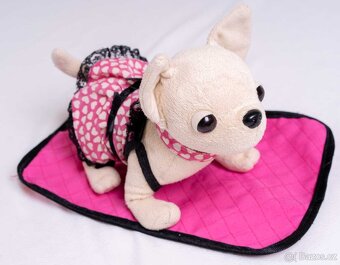 Pes v nosící tašce - 2