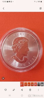 Stříbrné mince 1oz - 2