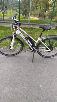 Elektrokolo Leader Fox dámské - 2