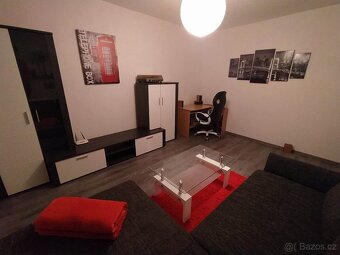 Pronájem bytu 2+1, Loštice - 2