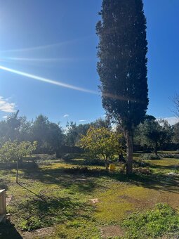 Stavebni pozemek 12.000m2 u moře🇮🇹 - 2