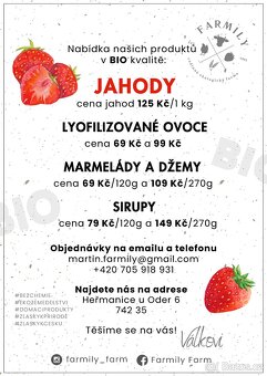 Čerstvé jahody BIO - 2