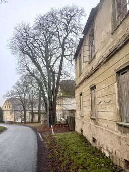 Prodám stavební pozemek v obci Drchlava - 2