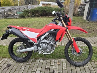 Honda CEF 300 L 2022 - 2