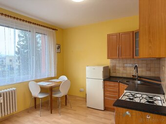 Pronájem světlého bytu 1+1 37 m² Ústí nad Orlicí - 2