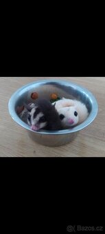 Vakoveverky + vybaveni - 2