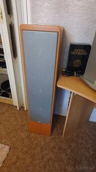 Canton ERGO RC-L + control unit - 2