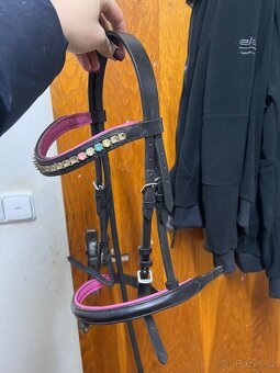 Uzdecka,otěže a udidlo - 2