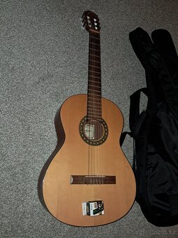 Kytara s pouzdrem - 2