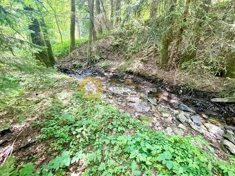 Pronájem chaty u potoka - Smiradice, Strakonice - 2