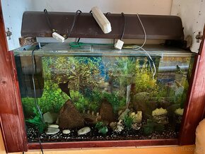 Akvárium 90x56x35 s příslušenstvím - 2
