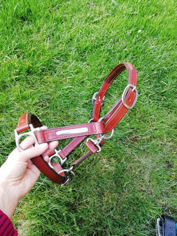 Prodám koženou ohlávku pony - 2